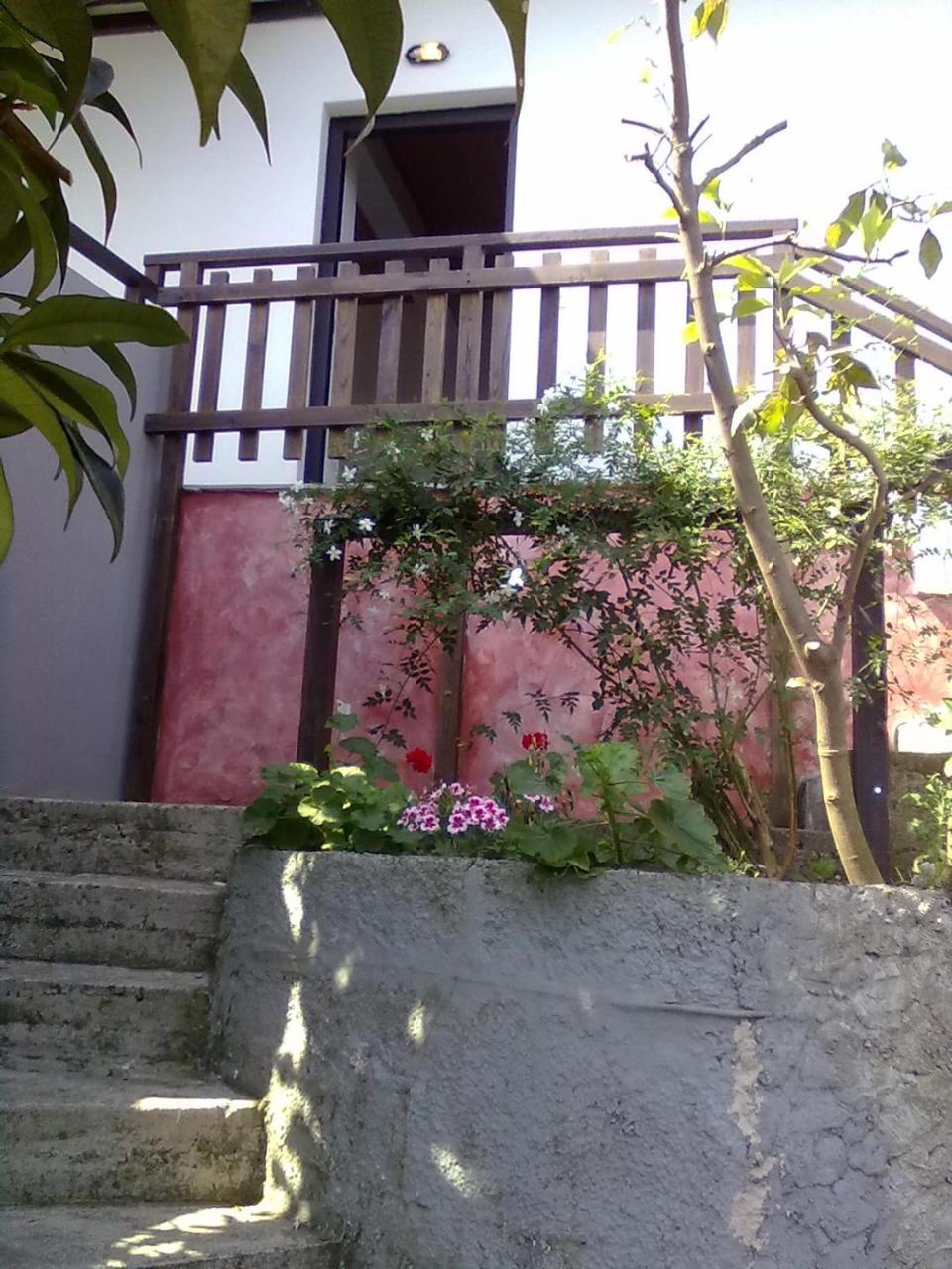 Apartamento Pelion Orama Agios Ioannis  Exterior foto